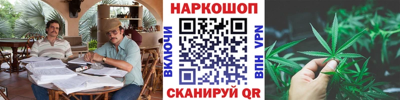 Где купить Чкаловск Бошки Шишки  Alpha PVP  COCAIN  Гашиш  Меф 