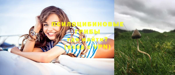 дурь Алзамай